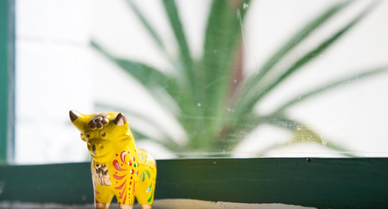 Dragonfly Hostels Barranco Lima Zewnętrze zdjęcie